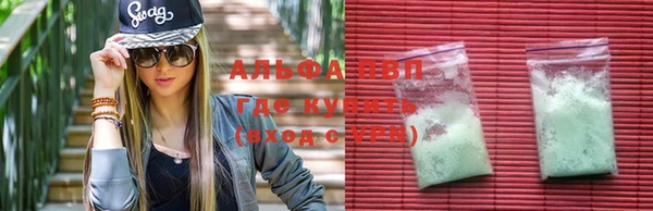 прущие грибы Липки