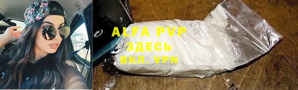 прущие грибы Липки