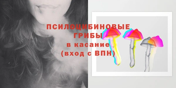 прущие грибы Липки