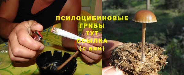 2c-b Лихославль