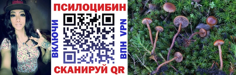 Галлюциногенные грибы мухоморы  Купить  Волгодонск 